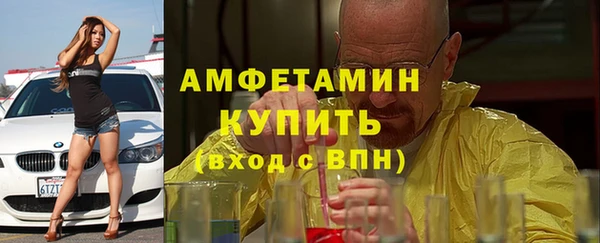 индика Анжеро-Судженск