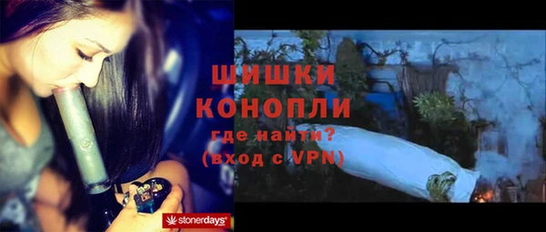 стаф Медногорск
