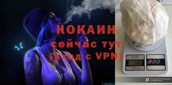 твердый Михайлов