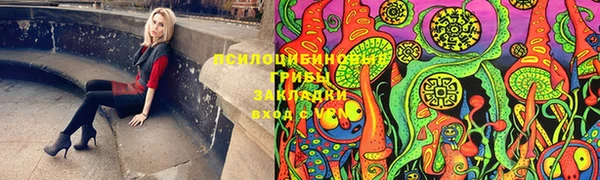 твердый Михайлов