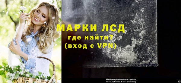 твердый Михайлов