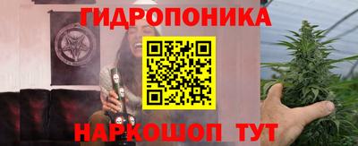 PSILOCYBIN Гусев