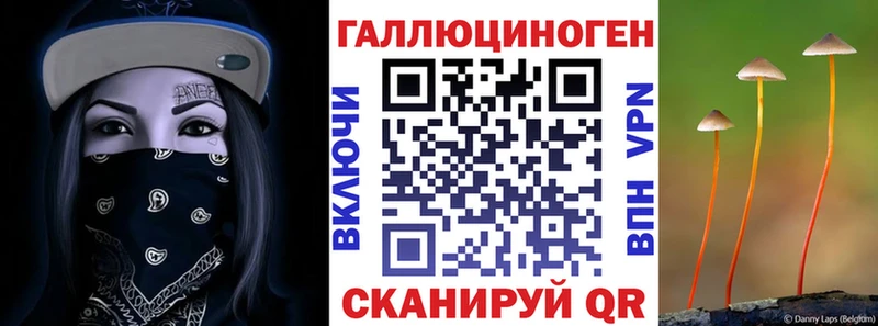 как найти   Нововоронеж  Галлюциногенные грибы Magic Shrooms 