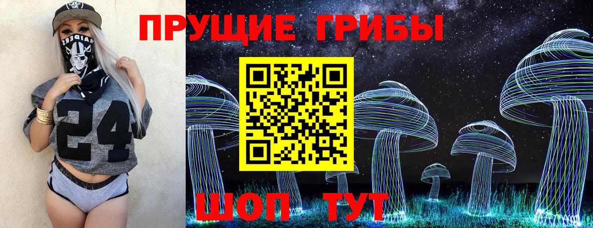 Галлюциногенные грибы мухоморы Нововоронеж