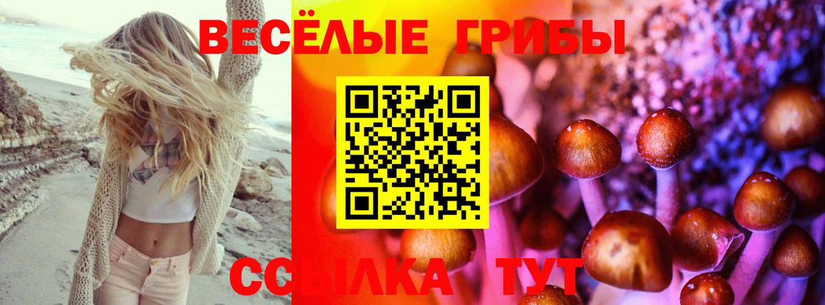 Псилоцибиновые грибы ЛСД  Нововоронеж 